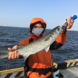 今日は、昨日より風強いいいい＾＾＾